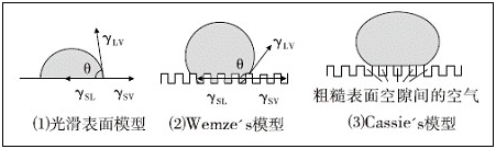 固体表面润湿模型