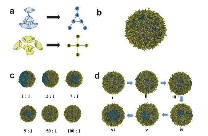 协同配体对混合纳米结构合成的影响机理研究