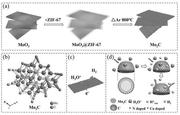 1D或2D多孔Mo2C纳米结构的合成与产氢应用